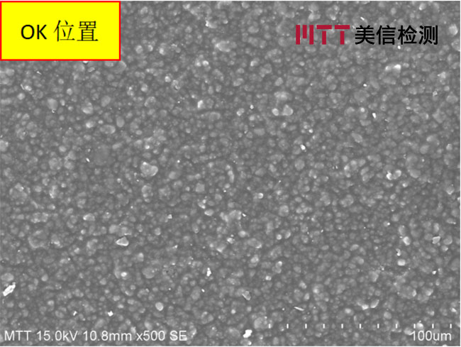 起泡位置涂层与未起泡涂层SEM对比图片
