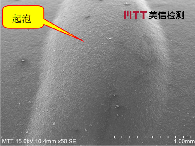 起泡位置涂层与未起泡涂层SEM对比图片