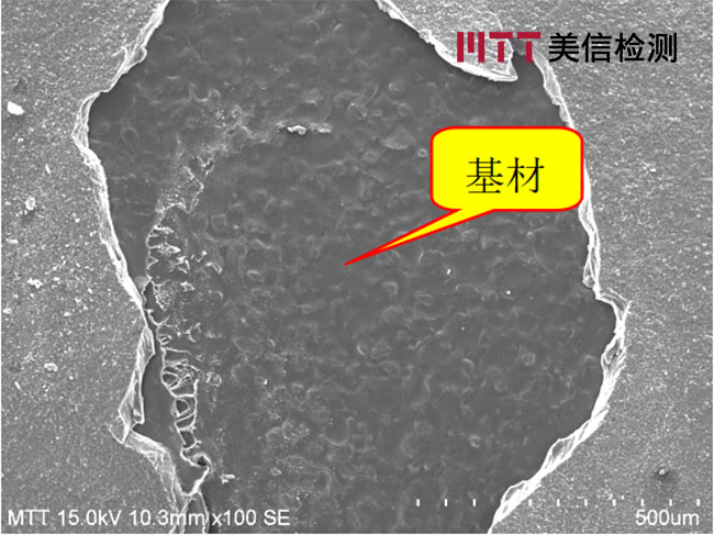 起泡位置涂层与未起泡涂层SEM对比图片