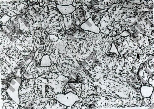 10Cr13，650 ℃回火，组织为回火索氏体＋铁素体