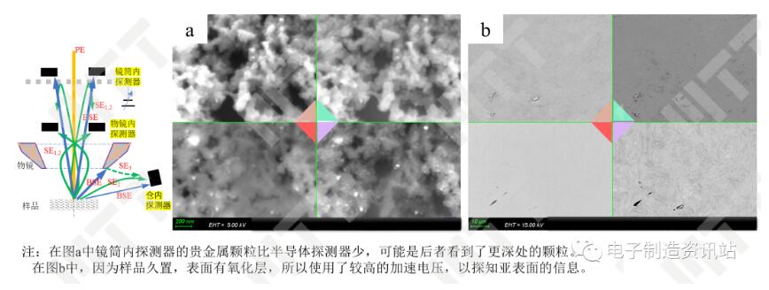 不同探测器在形貌、成分和取向上的表现