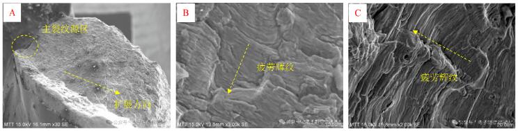 试样2断口典型SEM形貌